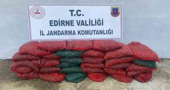 Enez’de 1 ton kum midyesi ile yakalanan şahıslara 297 bin lira ceza