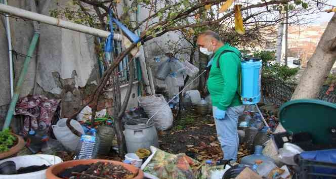 Yalova Belediyesi’nden larva noktalarına ilaçlama