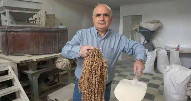 Doğada çok zor bulunuyor, kilosu 3 bin liradan satılıyor