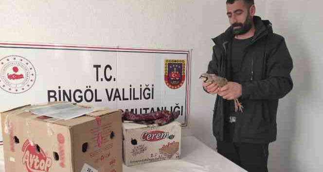 Bingöl’de yasak şekilde avlanan 13 adet kınalı keklik ele geçirildi
