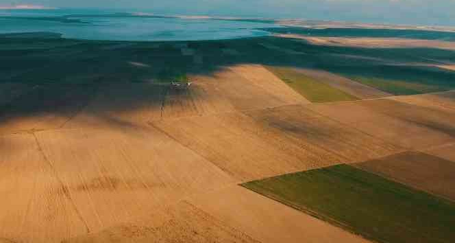 Nesli tükenmekte olan Toy kuşu dron ile görüntülendi