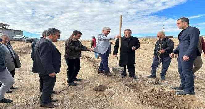 Adilcevaz’da kurulan “Ceviz Gen Bahçesi” çiftçinin yüzünü güldürdü