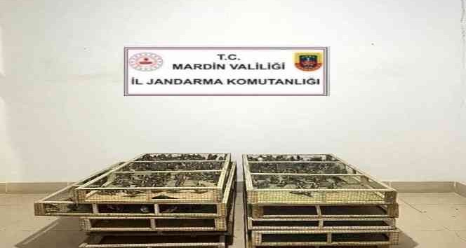 Bin adet saka kuşu bulunduran şahsa 1 milyon 200 bin lira ceza
