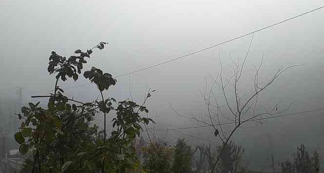 Silvan’da yoğun sis, görüş mesafesini 20 metrenin altına düşürdü