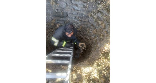 Kuyuya düşen yavru köpeği itfaiye ekipleri kurtardı