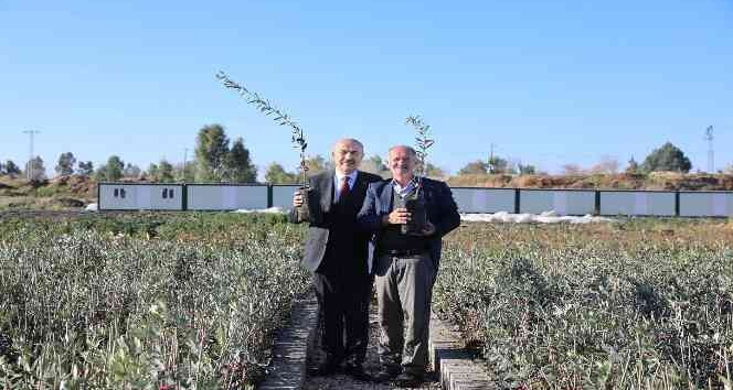 Mardin’de 1 milyon fidanın dağıtımına başlandı