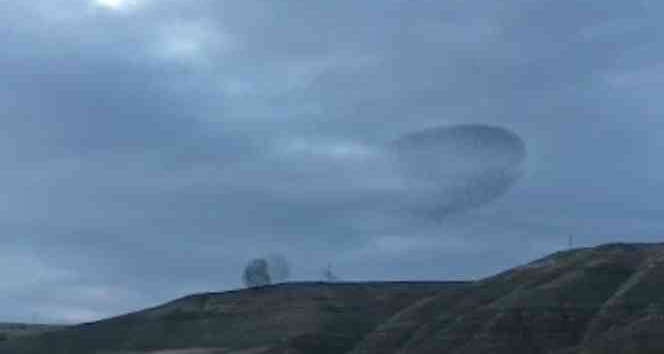 Sığırcık kuşlarının dansı