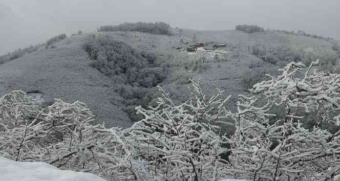 Ordu’nun yüksek kesimlerinde kar yağışı etkili oldu