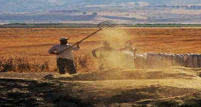Tarımsal girdi fiyat endeksi ekimde yıllık yüzde 134,76 arttı