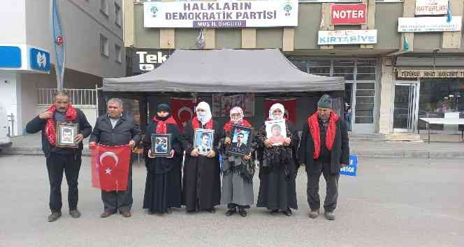 Muşlu babadan dağdaki oğluna çağrı: “Annen şu an ölüm döşeğinde”
