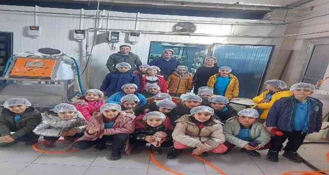 Tatvan’da minikler yerli üretim fabrikalarını gezdi