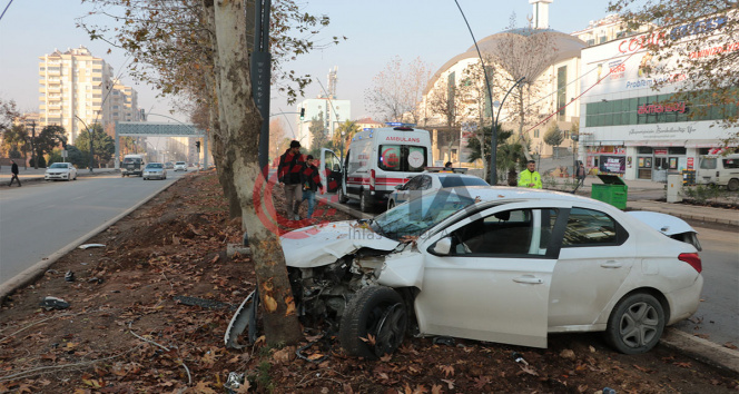 Yayalara çarpmamak isterken ağaca çarptı: 1 yaralı