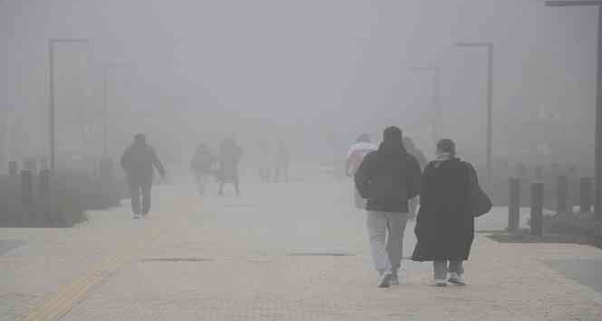 Edirne’de yoğun sis etkili oluyor