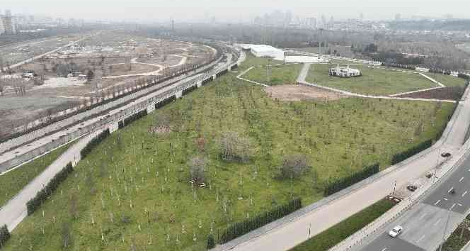 Doğal Yaşam Ve Atatürk Çocukları Parkı’nın yapımı sürüyor