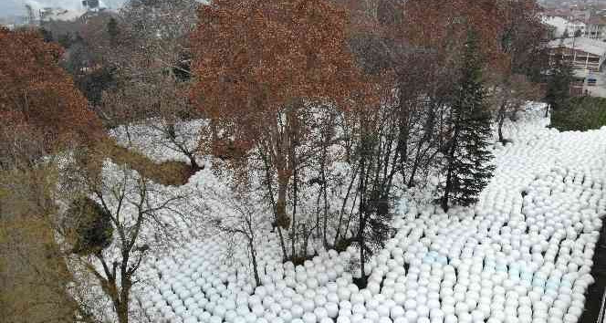 Binlercesi havadan görüntülendi, görenleri şaşırtan manzara