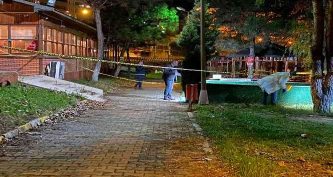 Kocaeli’de kadın cinayeti: Restoranda silahla vurularak öldürüldü