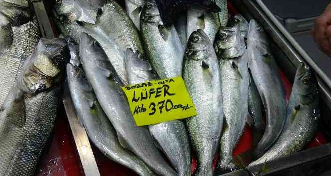 Havalar geç soğudu, az çıkan lüfer ve çinekopun fiyatı arttı