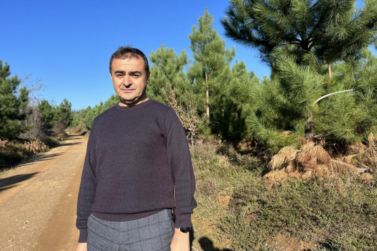 'Endüstriyel plantasyonlar, doğal ormanların korunmasına çare oluyor'