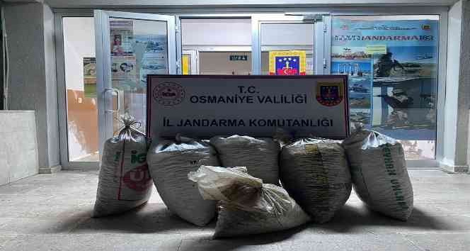 Osmaniye’de 300 kilo yerfıstığı çalan 2 şüpheli yakalandı