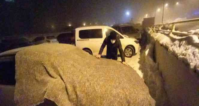 Bitlis’te hayat dondu