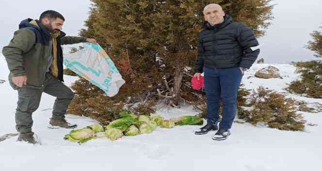 Bingöl’de yaban hayvanları için doğaya yem bırakıldı
