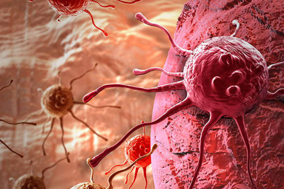 Kanserle savaşta yeni yöntem: 'Akıllı ilaçlar'