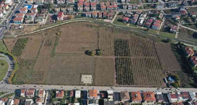 Türkiye’nin ilk “meyve” temalı millet bahçesi Yalova’da yapılıyor