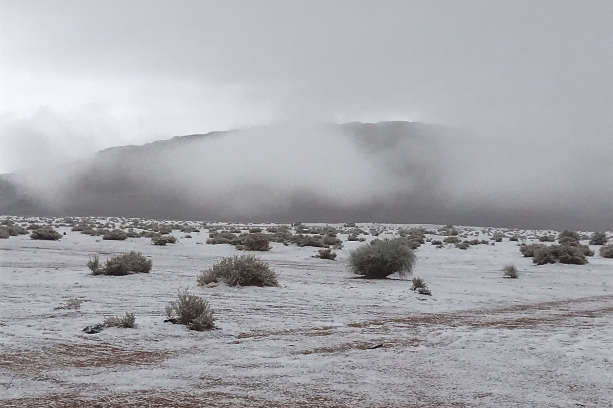 Suudi Arabistan'da kar sevinci
