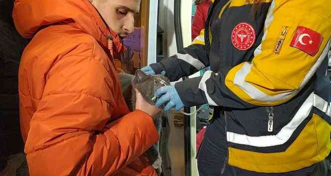 Dumanlar arasında kalan kedi, polis ekiplerince kurtarıldı