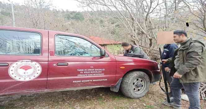 Osmaniye’de yasa dışı avcılıkla mücadele