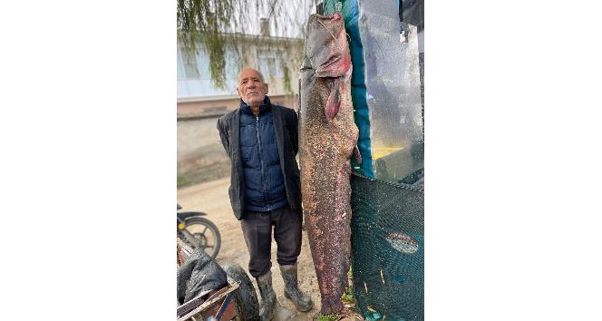 2 metrelik balık oltaya takıldı: Yoldan geçen telefona sarıldı