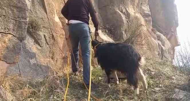 Siirt’te kayalıklarda mahsur kalan 2 keçi kurtarıldı