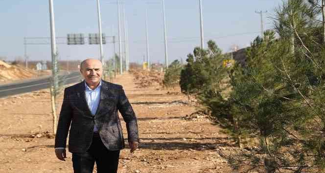 Mardin’de 2 bin ağaç ve fidan daha toprakla buluştu