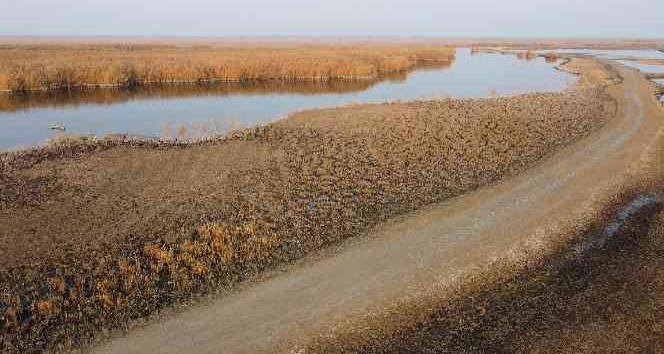 Ağrı Dağı eteklerinde yer alan Karasu’nun suyu çekiliyor