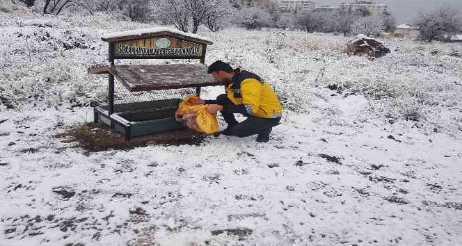 Belediye ekipleri sokak hayvanlarını unutmuyor