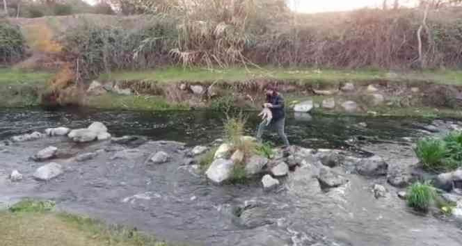 Derede mahsur kalan yavru köpeği itfaiye kurtardı