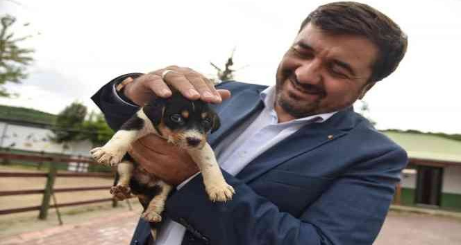 Giresun’da can dostlar emin ellerde