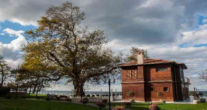 Yalova’da müzeler, 1 ocakta kapalı olacak