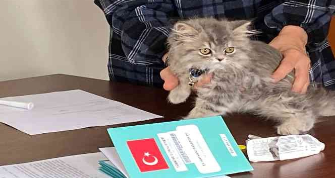 Nevşehir’de 3 bin 200 evcil hayvan çiplendi