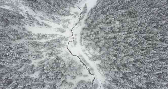 Giresun yaylaları beyaz örtüyle kaplandı