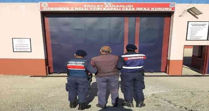 Osmaniye’de 5 yıl hapis cezasıyla aranan hükümlü yakaladı