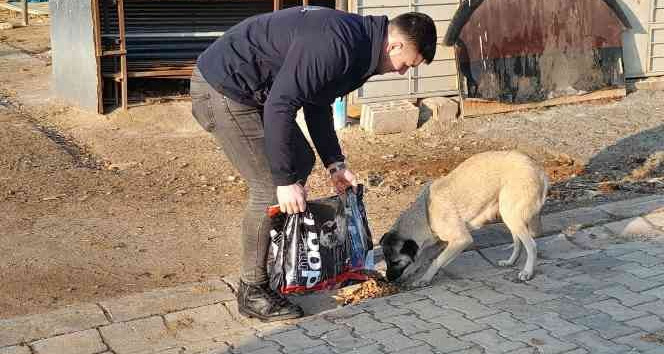 Hayvan dostu belediye, sokak hayvanlarının mama ve suyunu eksik etmiyor