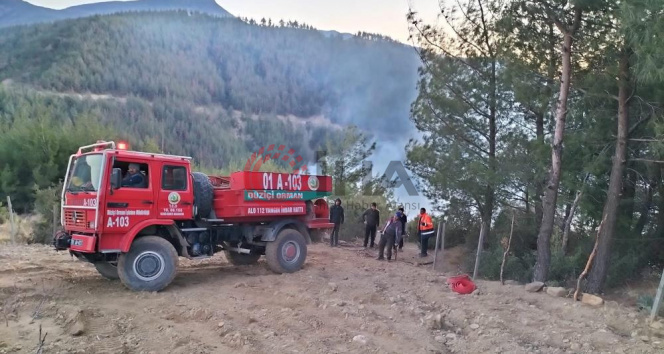 Osmaniyenin Düziçi ilçesinde ormanlık alanda çıkan yangın kontrol altına alındı