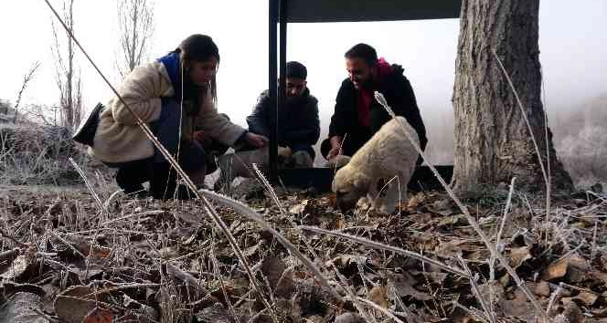 Hem israfın önüne geçiyorlar hem de sokak hayvanlarına ‘hayat’ oluyorlar