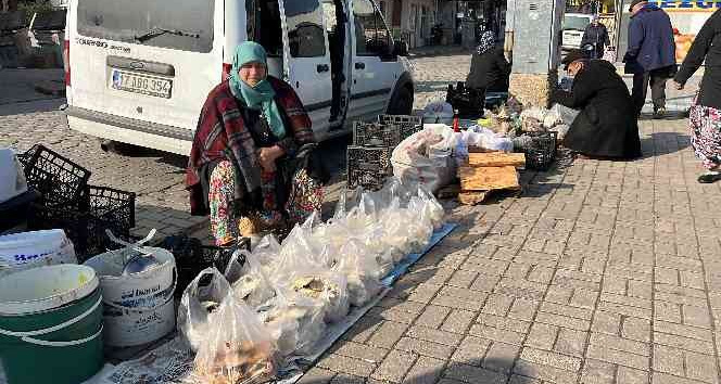 Yaban mantarları köylünün gelir kapısı oldu
