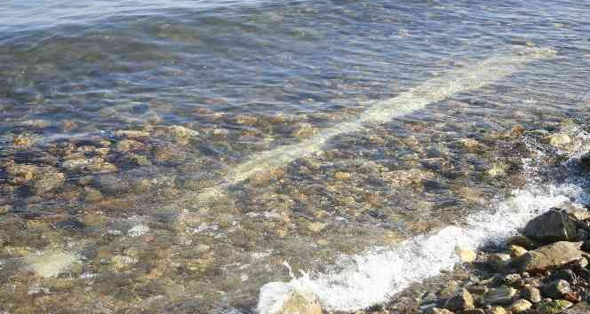 Gölyaka’da tarihi sütun bulundu, müze müdürlüğü inceleme başlattı