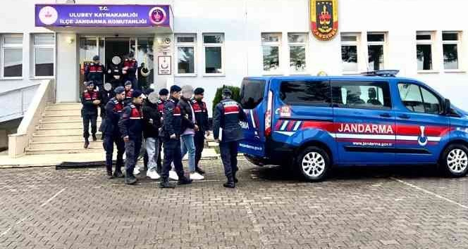 Ordu’da 5 evden hırsızlık yapan 7 kişi yakalandı, 2’si tutuklandı