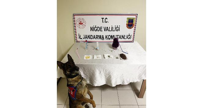 Niğde’de uyuşturucu operasyonu