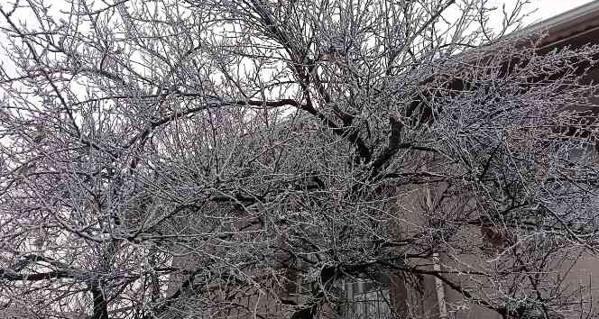 Kırşehir’i sis kapladı