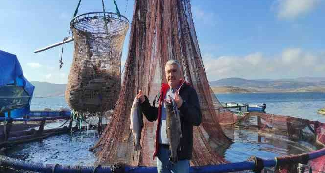 Türk somonu Norveç somonuna rakip